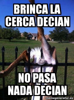 Meme Personalizado Brinca La Cerca Decian No Pasa Nada Decian