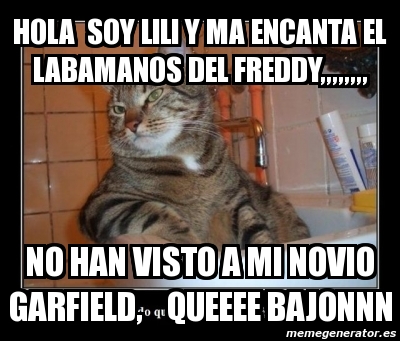 Meme Personalizado - hola soy lili y ma encanta el labamanos del  freddy,,,,,,,, no han visto a mi novio garfield, queeee bajonnn - 2337452