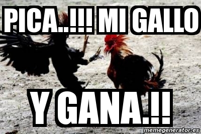 Meme Personalizado - pica..!!! mi gallo y gana.!! - 2487717