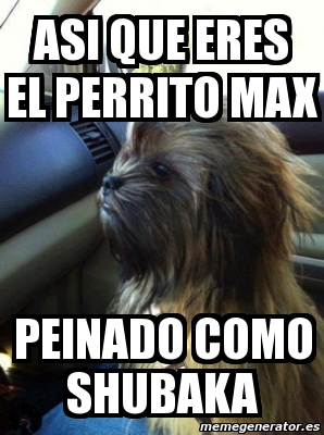 Meme Personalizado - asi que eres el perrito max peinado como shubaka -  2696697