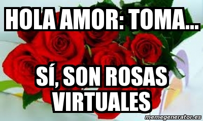 Meme Personalizado - Hola amor: toma... sÃ, son rosas virtuales - 2700574