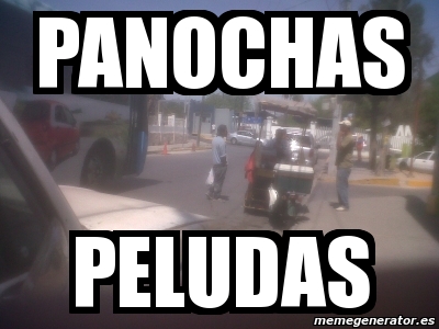 Meme Personalizado - panochas peludas - 2957960