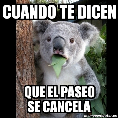 Meme Koala - cuando te dicen que el paseo se cancela - 20396493