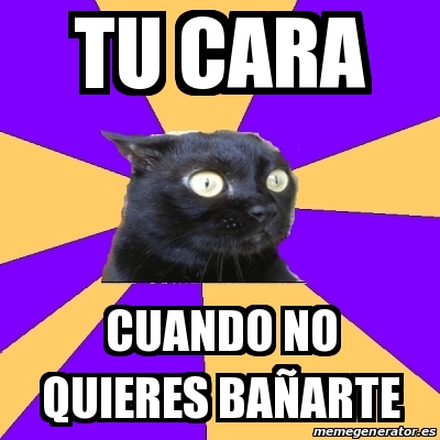 Meme Anxiety Cat Tu Cara Cuando No Quieres Ba Arte