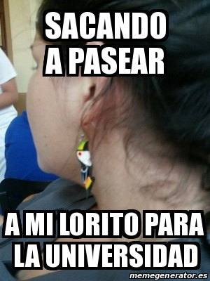 Meme Personalizado - sacando a pasear a mi lorito para la universidad ...