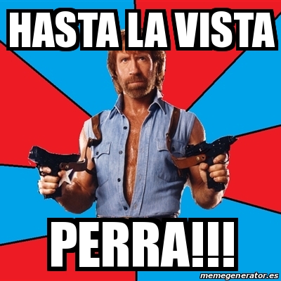 Meme Chuck Norris - hasta la vista perra!!! - 20943990