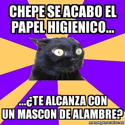 Meme Anxiety Cat - Chepe se acabo el papel higienico…Â¿te alcanza