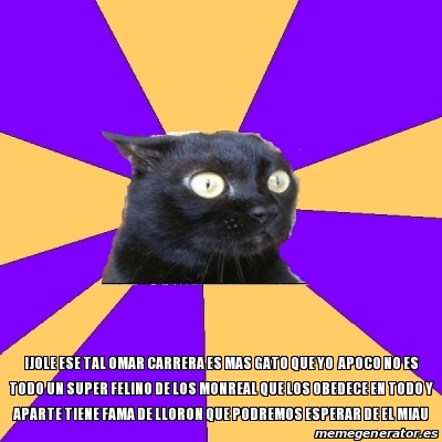 Meme Anxiety Cat Ijole Ese Tal Omar Carrera Es Mas Gato Que Yo Apoco