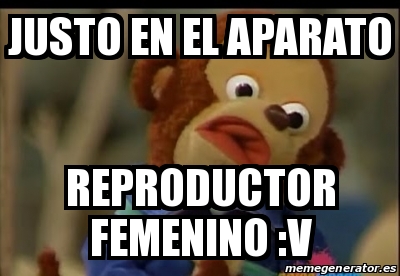 Meme Personalizado Justo En El Aparato Reproductor Femenino V