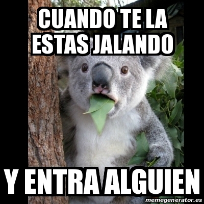 Meme Koala - cuando te la estas jalando y entra alguien - 21848076