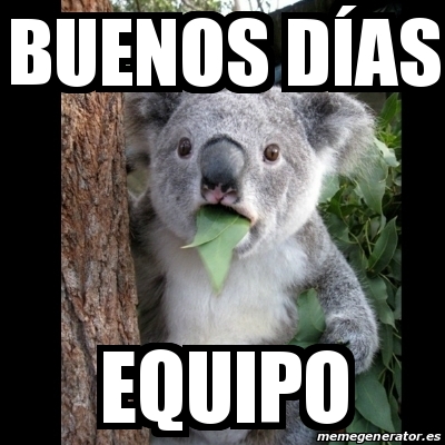 Meme Koala - BUENOS DÃ AS EQUIPO - 21922335