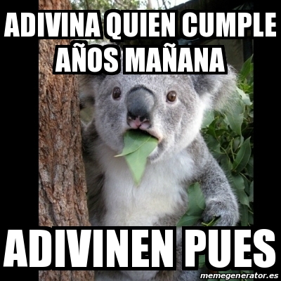 Meme Koala Adivina Quien Cumple Anos Manana Adivinen Pues 22053610