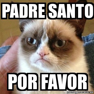 Meme Grumpy Cat - padre santo por favor - 22507977