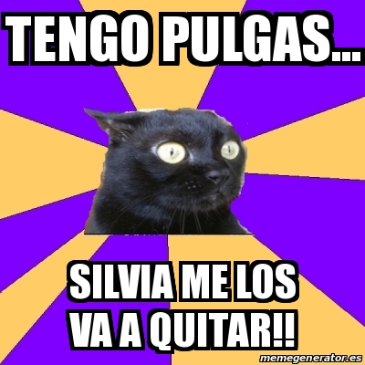 Meme Anxiety Cat - Tengo pulgas... Silvia me los va a quitar!! - 22607454