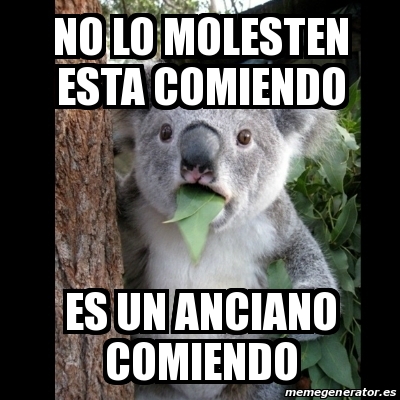 Meme Koala - No Lo Molesten Esta Comiendo Es Un Anciano Comiendo - 23122319