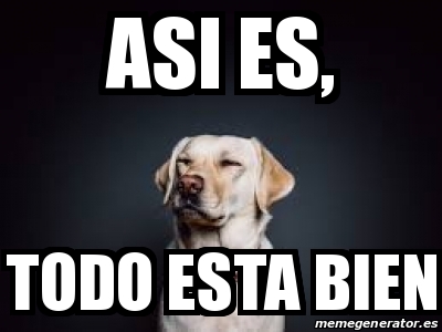 Meme Personalizado - asi es, todo esta bien - 23156077