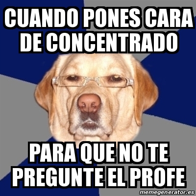 Meme Perro Racista - cuando pones cara de concentrado para que no ...