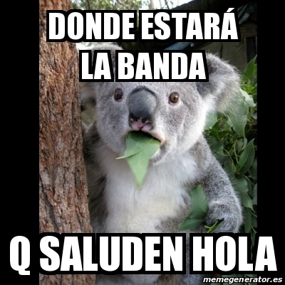 Meme Koala - DONDE ESTARÃ la banda q saluden hola - 23700052