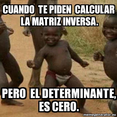 Meme I'm sexy and I know it - Cuando te piden calcular la matriz inversa. Pero el determinante, es cero. - 23930541