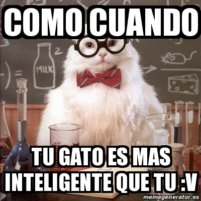 Meme Chemistry Cat - como cuando tu gato es mas inteligente que tu :v ...