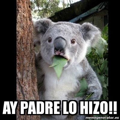 Meme Koala - Ay padre lo hizo!! - 24581607