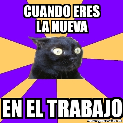 Meme Anxiety Cat Cuando Eres La Nueva En El Trabajo