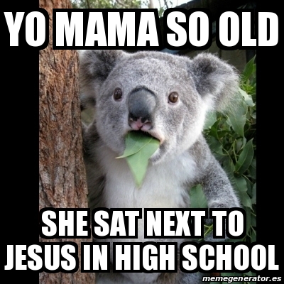 koala bear meme high