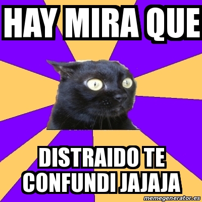 Meme Anxiety Cat Hay Mira Que Distraido Te Confundi Jajaja