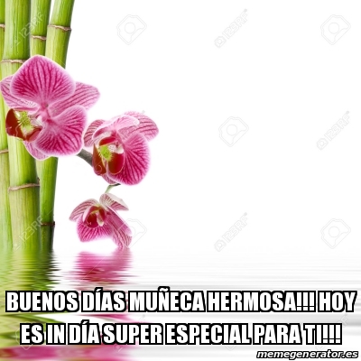 imágenes de muñequitas hermosas