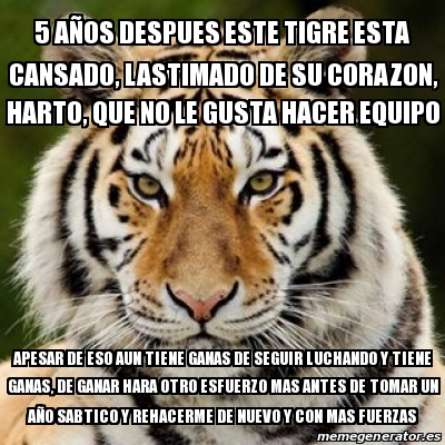 Un Tigre Memes
