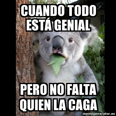 Meme Koala - Cuando todo estÃ¡ genial Pero no falta quien la caga ...