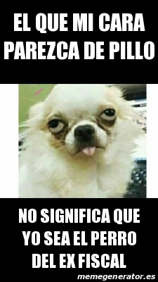 Meme Personalizado El Que Mi Cara Parezca De Pillo No Significa Que Yo Sea El Perro Del Ex Fiscal