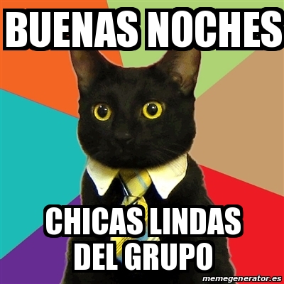 Meme Business Cat - Buenas Noches Chicas lindas del grupo - 27517464