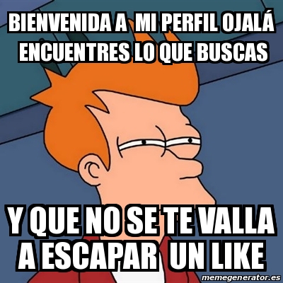 Meme Futurama Fry Bienvenida a mi perfil ojalÃ encuentres lo que