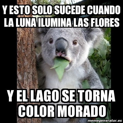 Meme Koala - Y ESTO SOLO SUCEDE CUANDO LA LUNA ILUMINA LAS FLORES 