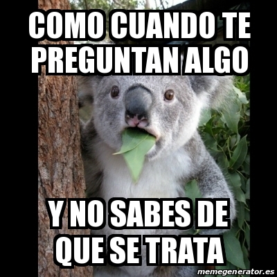 Meme Koala - como cuando te preguntan algo y no sabes de que se trata ...