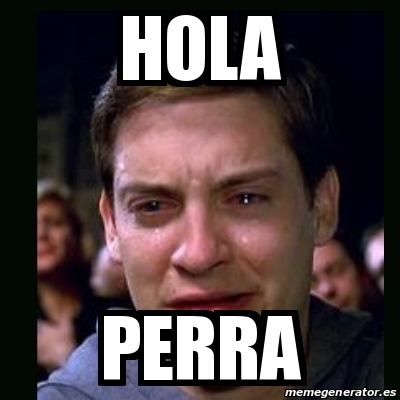 Meme crying peter parker - Hola perra - 28365631