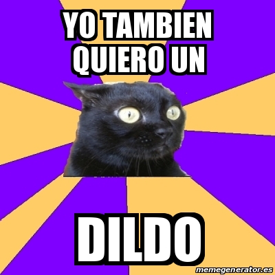 Meme Anxiety Cat Yo Tambien Quiero Un Dildo