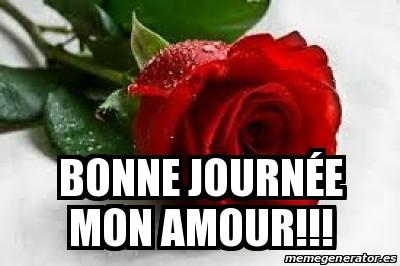 Meme Personalizado Bonne Journée Mon Amour 28769952