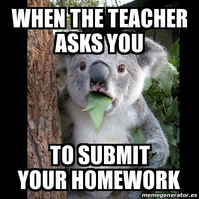 Meme Koala - when the teacher asks you to submit your homework - 29785011