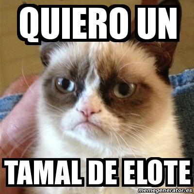 Meme Grumpy Cat - quiero un tamal de elote - 29789587