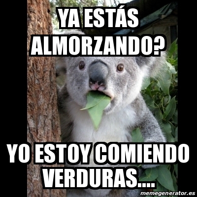 Meme Koala - Ya estÃ¡s almorzando? Yo estoy comiendo verduras ...