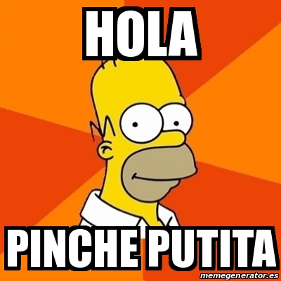 Meme Homer - Hola pInche putita - 29894413