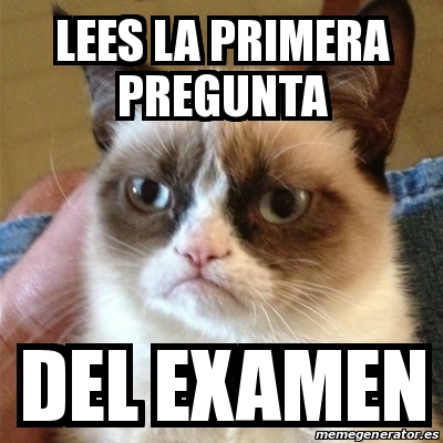 Meme Grumpy Cat - Lees La Primera Pregunta Del Examen - 29901014