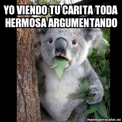 Meme Koala yo viendo tu carita toda hermosa argumentando 29949061