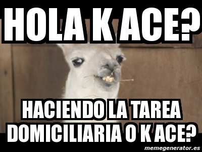 Meme Personalizado - HOLA K ACE? HACIENDO LA TAREA DOMICILIARIA O K ACE? -  3206402