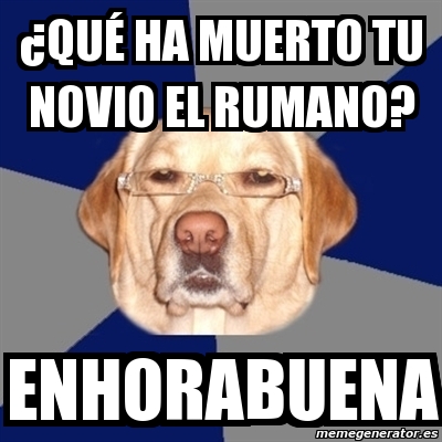 Meme Rumano Meme Perro Racista - ¿qué ha muerto tu novio el rumano? enhorabuena ...