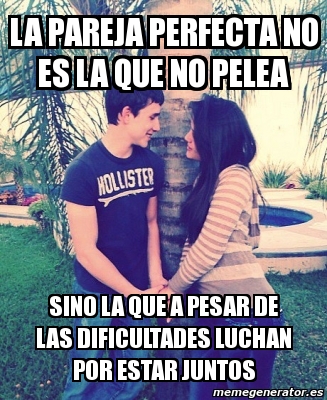 Meme Personalizado - la pareja perfecta no es la que no pelea sino la que a  pesar de las dificultades luchan por estar juntos - 3396778