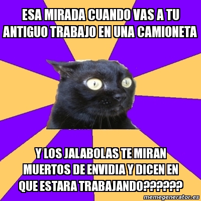 Meme Anxiety Cat Esa Mirada Cuando Vas A Tu Antiguo Trabajo En Una