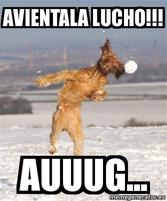 Meme Personalizado AvIENTALA LUCHO AUUUG 3455410